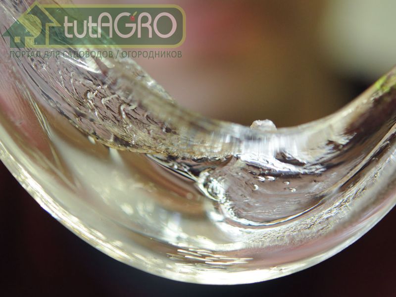 Кремниевое угощение