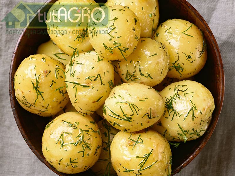 Почему картошка невкусная?