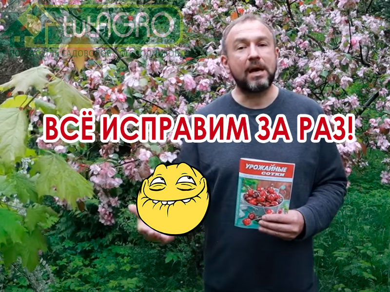 В видео я расскажу вам как значительно повысить эффективность мульчирования! Мульча есть, а урожай не радует? Вот почему!
