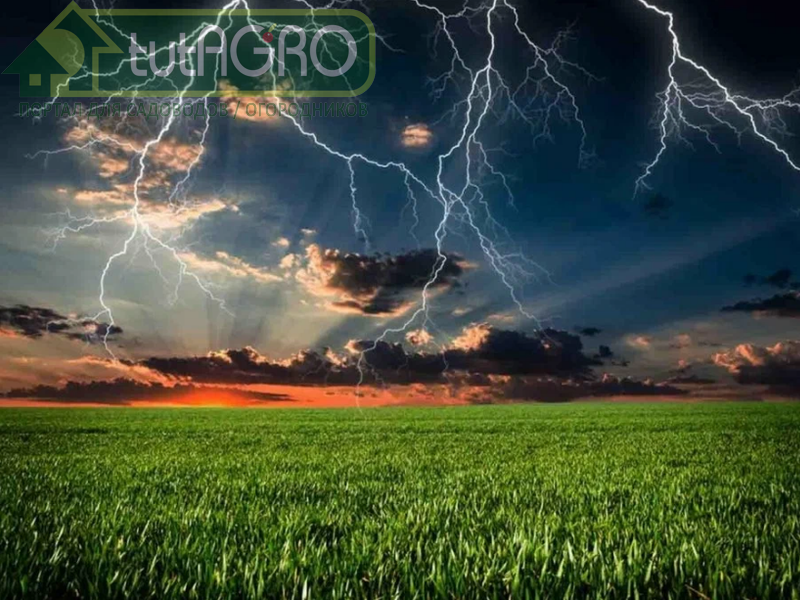 Погодные потрясения и температурные качели, стрессы от болезней и вредителей: как растениям все это преодолеть без потери урожая!