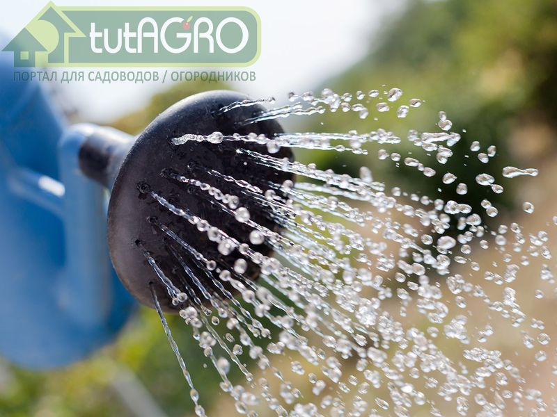 Дачные лайфхаки 