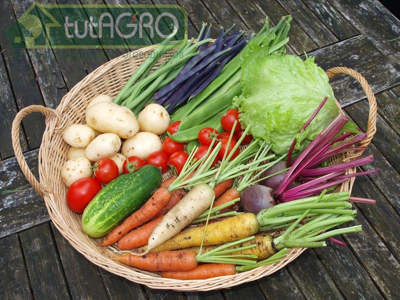 Маленькие секреты больших урожаев