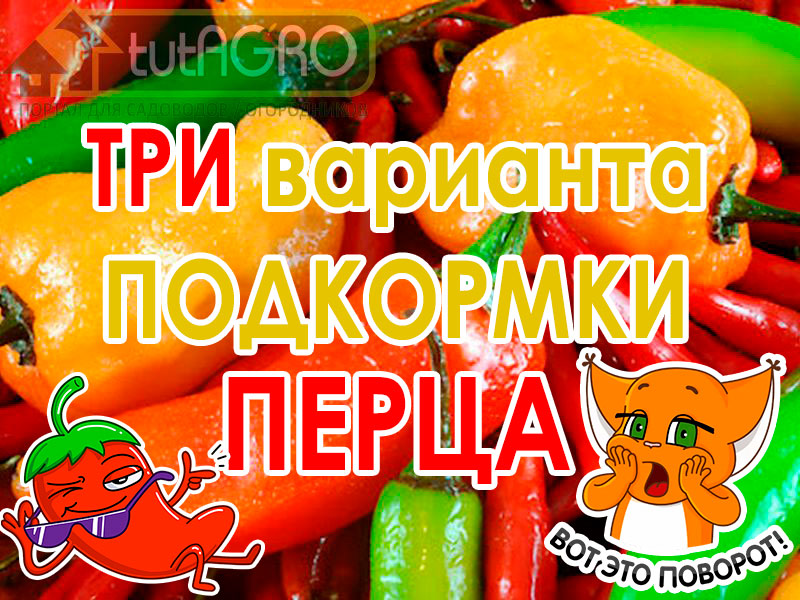 Вкусный, сладкий, сочный, толстый перец - отличный результат огородного труда. Как добиться такого результата - смотрите в видео! Наращиваем толстую и сочную стенку у перца!