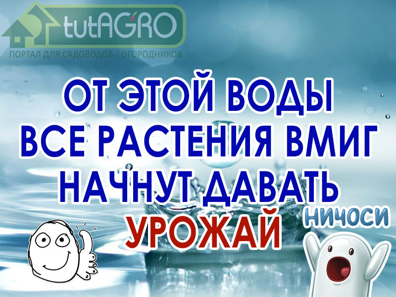 Живая вода - образное выражение, однако, для сада и огорода его вполне можно конкретизировать. В видео я расскажу. как я готовлю живую кубическую воду и какая от нее польза. Как поливать растения живой кубической водой