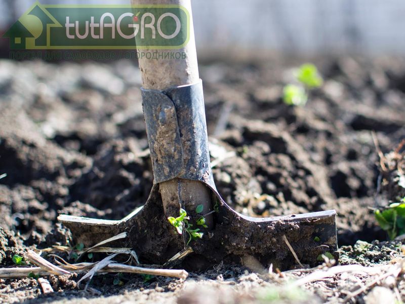 А не слишком ли кисло?