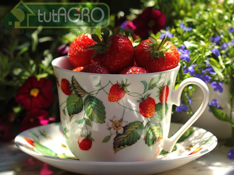 Угощайтесь!