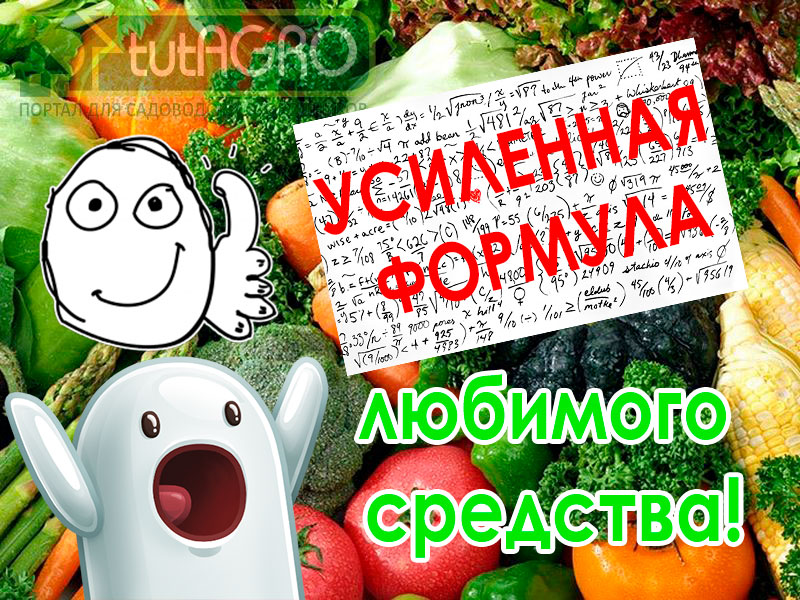 В этом видео я познакомлю вас с усиленной и упрощённой формулой, составом одного из наиболее распространённых и любимейших средств для борьбы с мучнистой росой, паутинным клещом, тлями, многими другими болезнями и вредителями. Безопасное избавление от болезней и вредителей. Самое время!