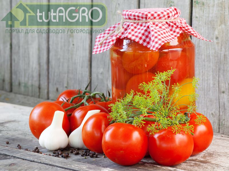 Томатные заготовки