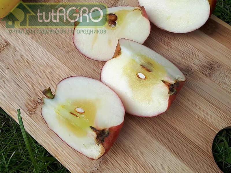 Яблочко наливное