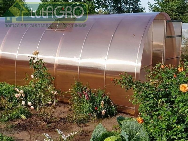 Обработка теплицы осенью