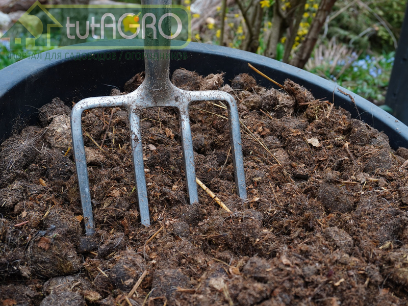 Способы оптимального сохранения навоза до весны. Что делать с навозом осенью - AGROzen