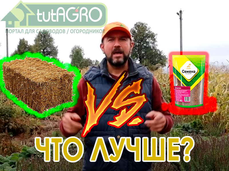 Что лучше для почвы, для обеззраживания и оздоровления почвы? Как оздоровить почву без химикатов? Как обогатить почву плодородием? Есть много вариантов. Но солома и сидераты - простое и эффективное решение. Что лучше выбрать для плодородия почвы?