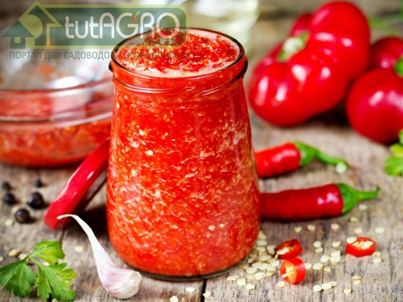 Аджика из острых перцев - AGROzen