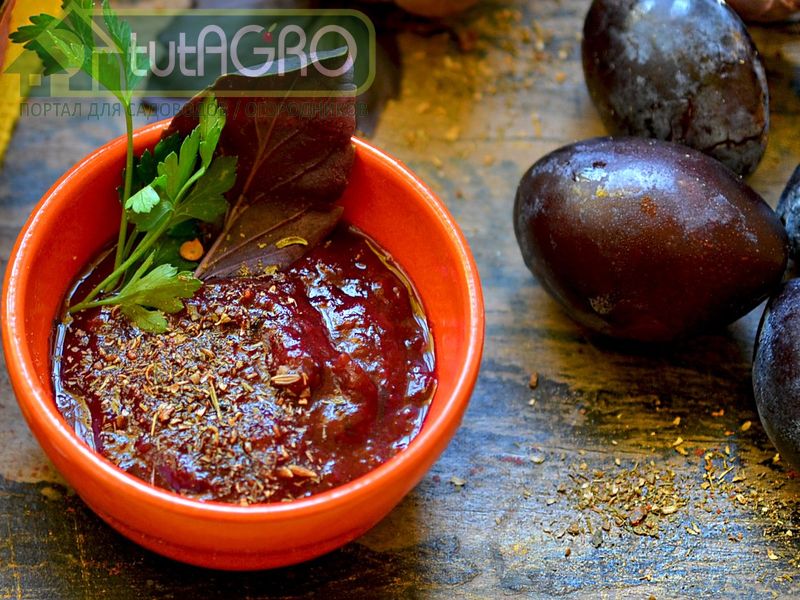 Домашняя приправа к мясу - AGROzen