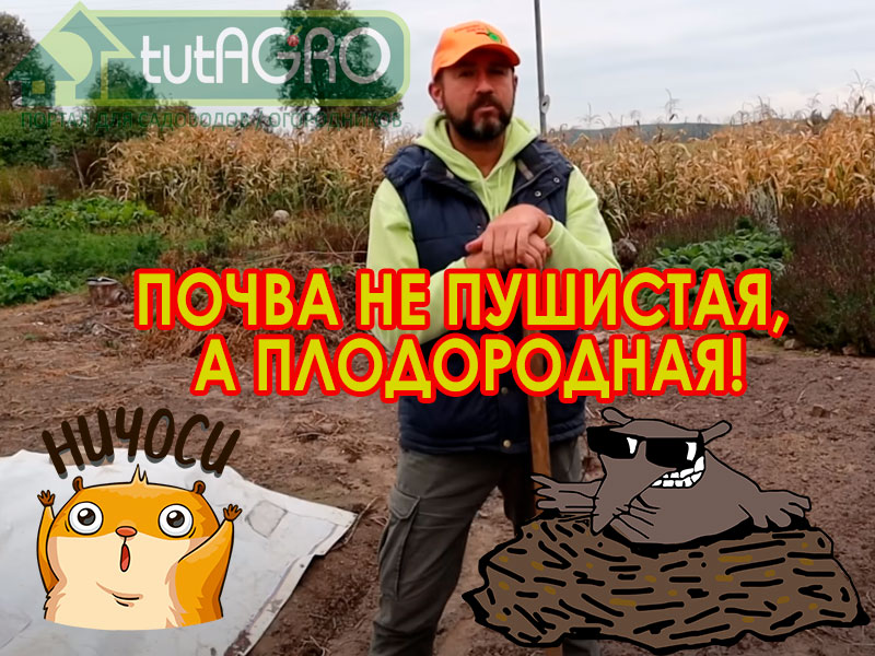 Почва перестала родить урожай? Болезни и вредители одолели? Что ни посадишь - все пропадает? Достался участок с плохой почвой? Руки опускаются? НЕТ! Руки должны взяться за лопату и проделать очень простую штуку. Как вернуть плодородие любой почве?