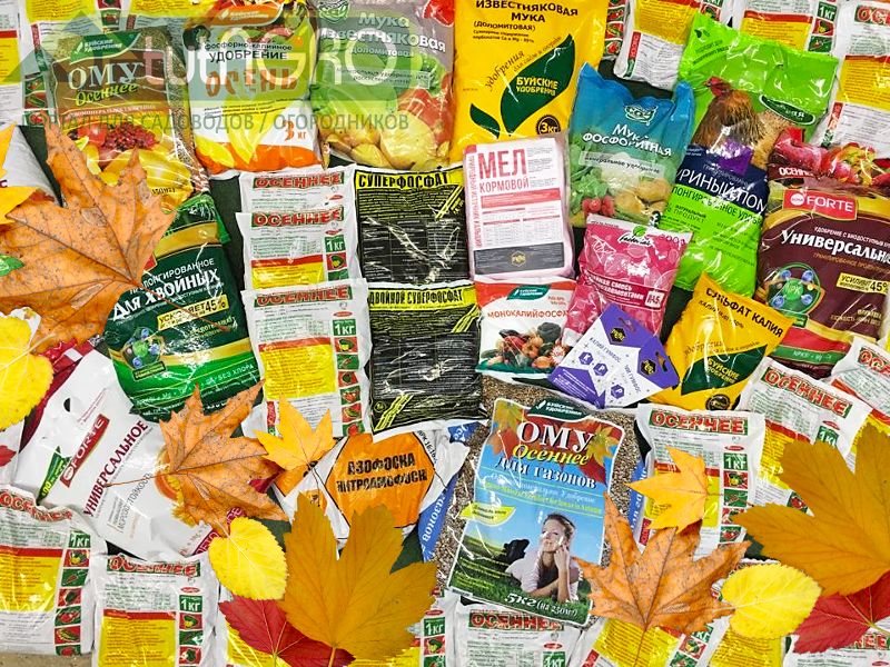 Нормы внесения минеральных удобрений осенью. Таблица - AGROzen