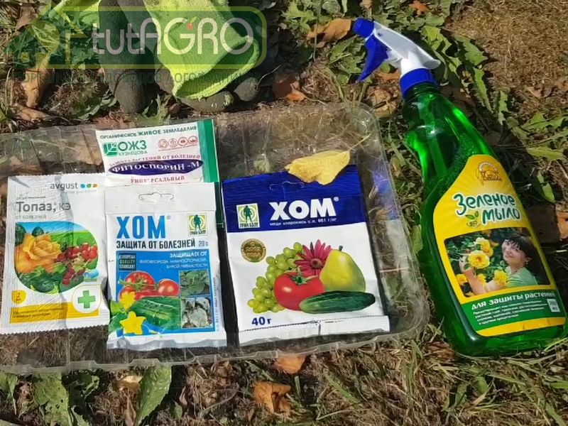 500 г железного купороса, 1 ст. л. лимонной кислоты, 1 л мочевины, 3-4 ст. л. жидкого мыла или средства для мытья посуды - AGROzen