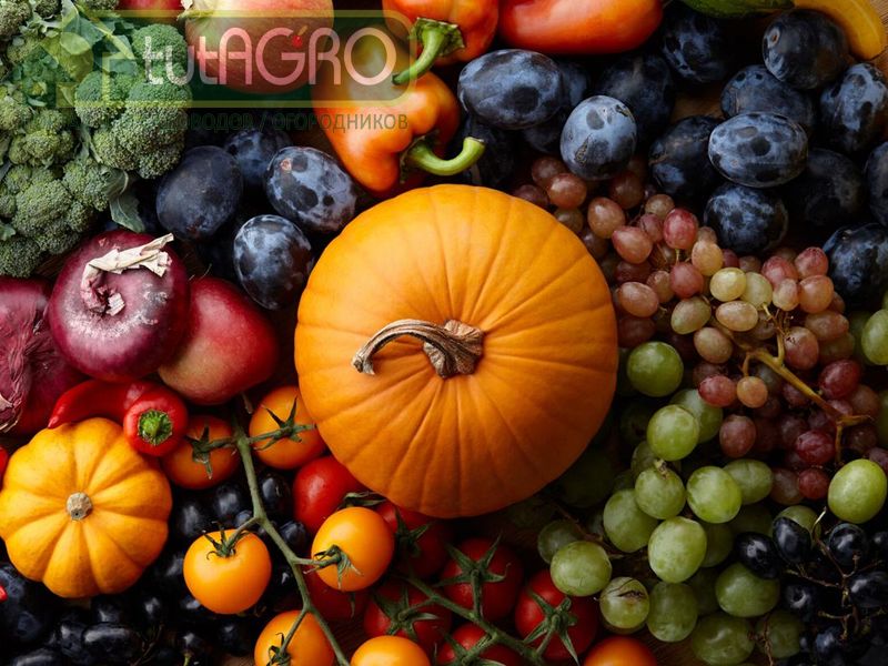 Удобрения для почвы - AGROzen