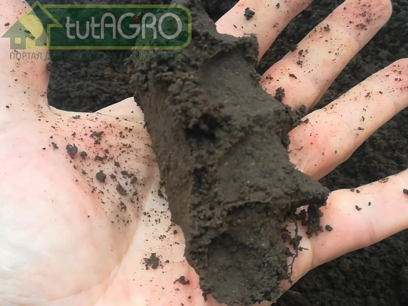 Если грунт на участке - средний суглинок - AGROzen