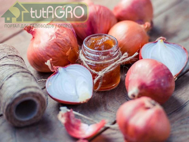 Чатни из лука - AGROzen