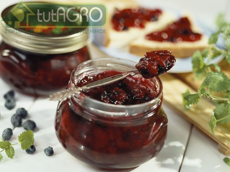 Луковый джем - AGROzen