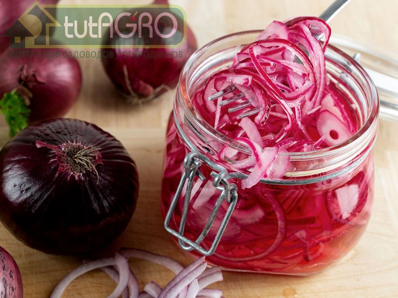 Лук в кисло-сладком маринаде - AGROzen