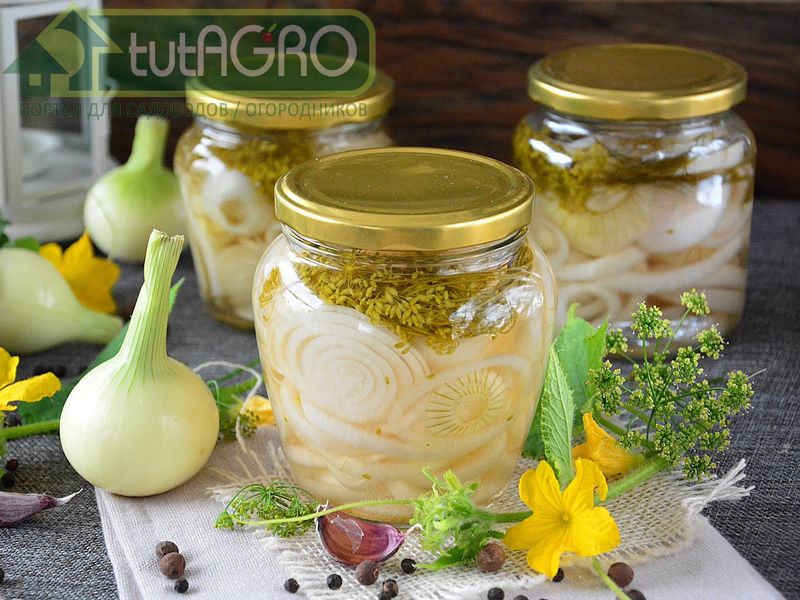 Необычные рецепты из лука. Кулинария AGROzen