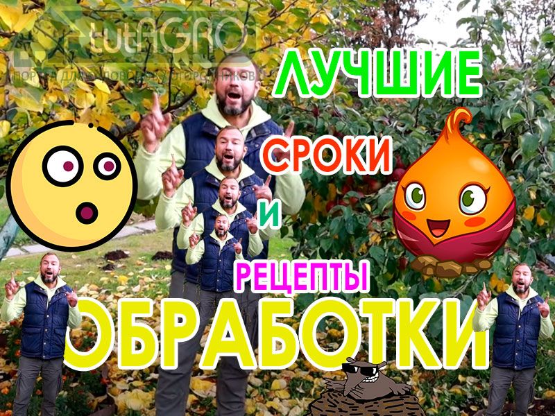 Зачем осенью обрабатывать яблони, груши, вишни, сливы, черешни, абрикосы. персики, смородину и другие плодовые и ягодные растения в саду? Странный вопрос! Искореняющая обработка - это не последний, но очень важный этап подготовки сада к зиме. Обработайте сад от болезней и вредителей!