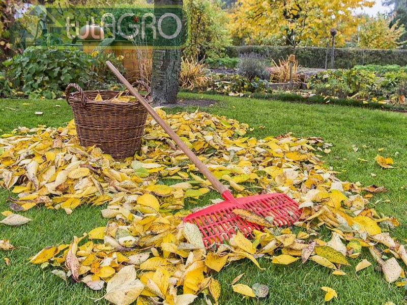 Ценный компонент питательного компоста - AGROzen