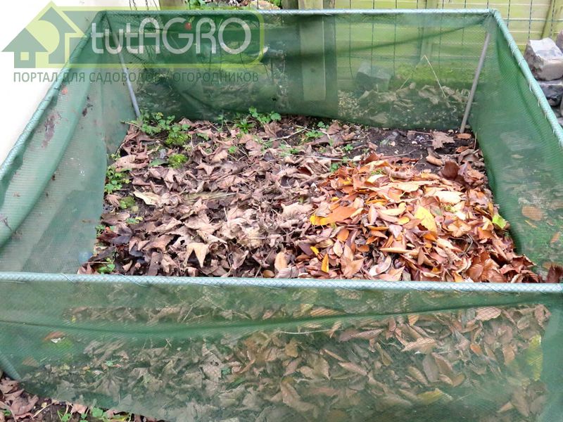 В компостных кучах или ямах можно хранить листовой опад В компостных кучах или ямах можно хранить листовой опад - AGROzen