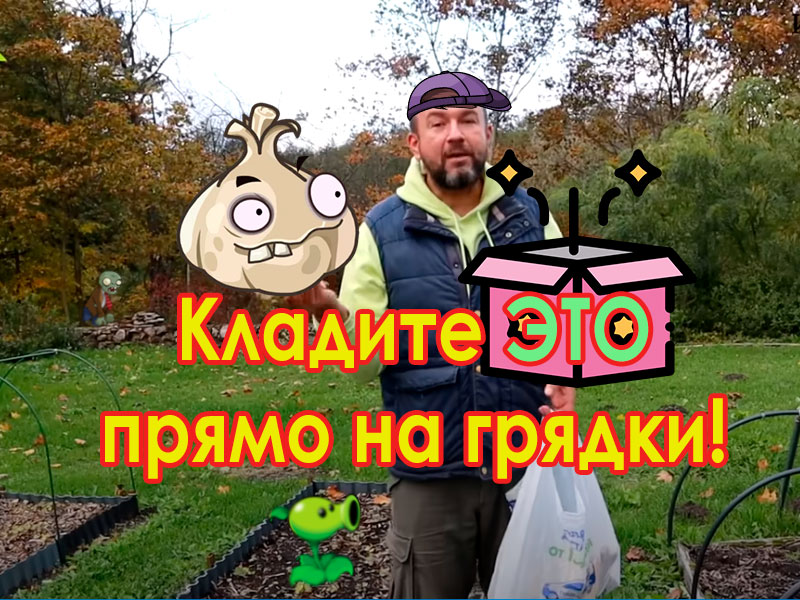 В любое время, хоть осенью, хоть весной, положите это на грядки с чесноком и он будет удивлять вас урожаем и силой. Что именно, смотрите в этом выпуске! Кладите ЭТО прямо на грядки! Проще не бывает!