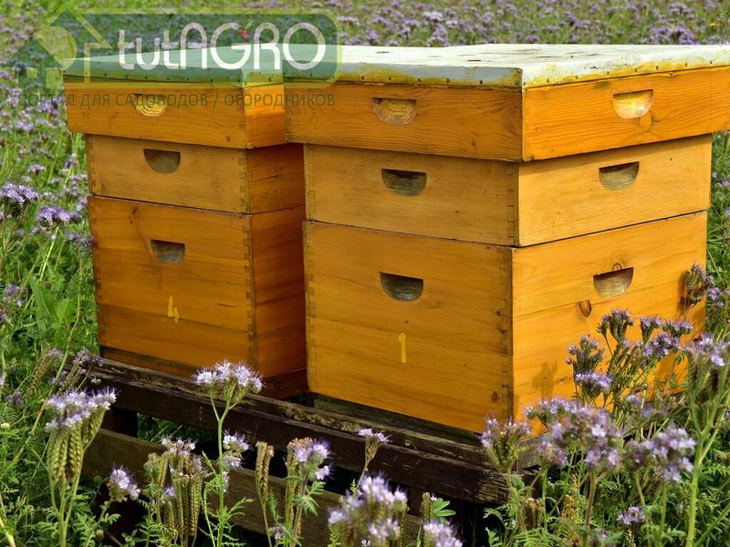 Как сделать улей своими руками - AGROzen