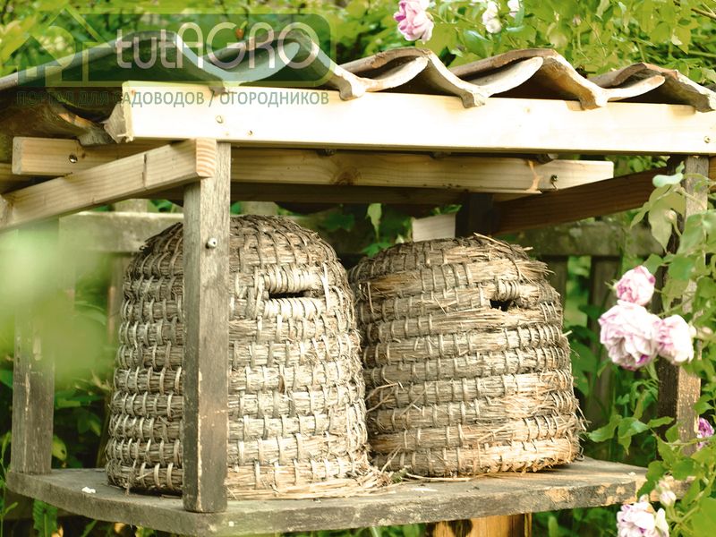 Как сделать улей своими руками - tutAGO