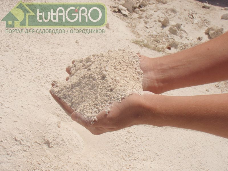 Почва устала? Восстановите плодородие быстро и просто  - AGROzen