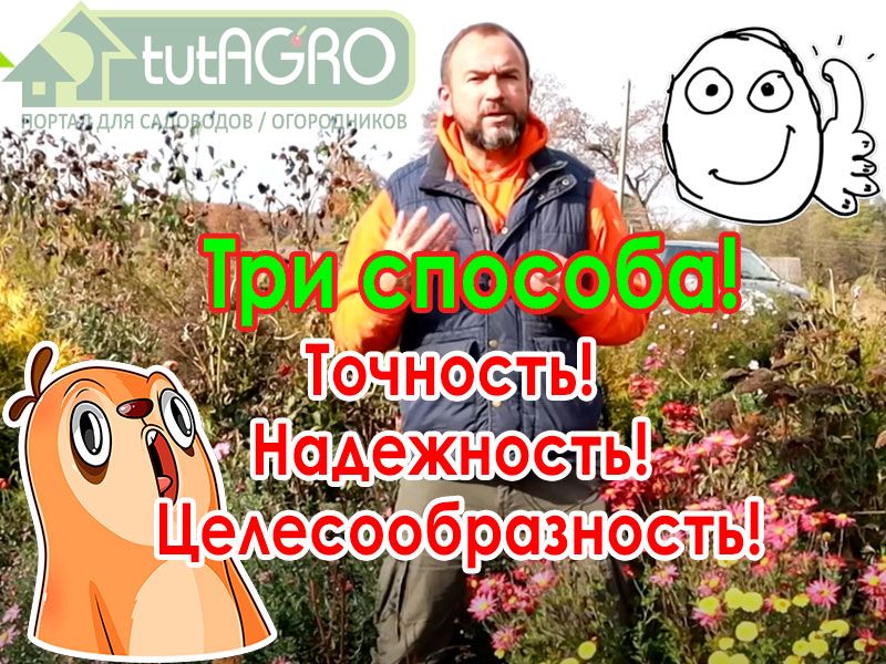 Как определить кислотность почвы на своем участке? Для чего определять кислотность почвы? Какая кислотность почвы бывает? От чего зависит кислотность почвы? Какая кислотность лучше для огурцов? Какая кислотность нужна для томатов? Какая кислотность почвы должна быть для голубики? Три способа измерить кислотность почвы