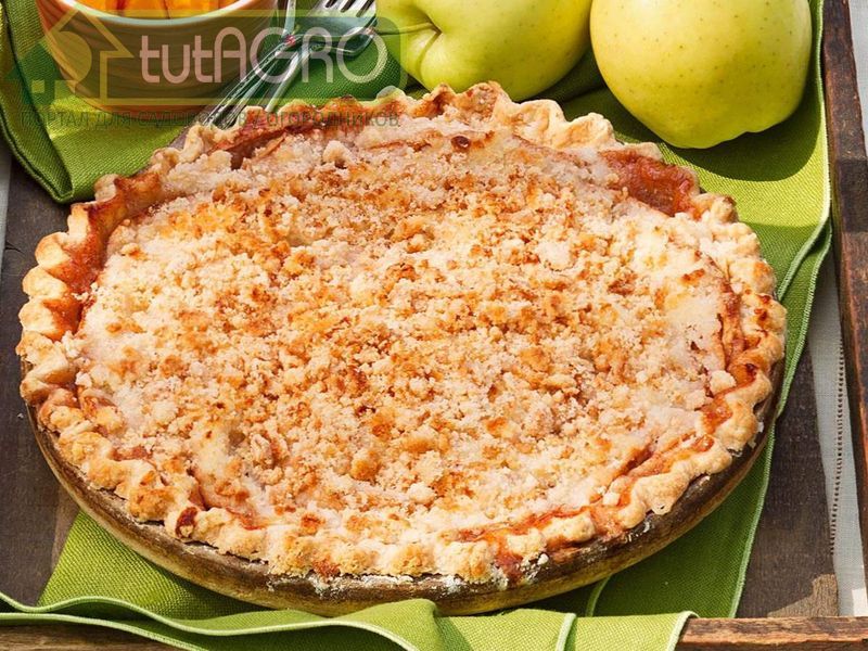 Крошечный яблочно-творожный пирог - AGROzen