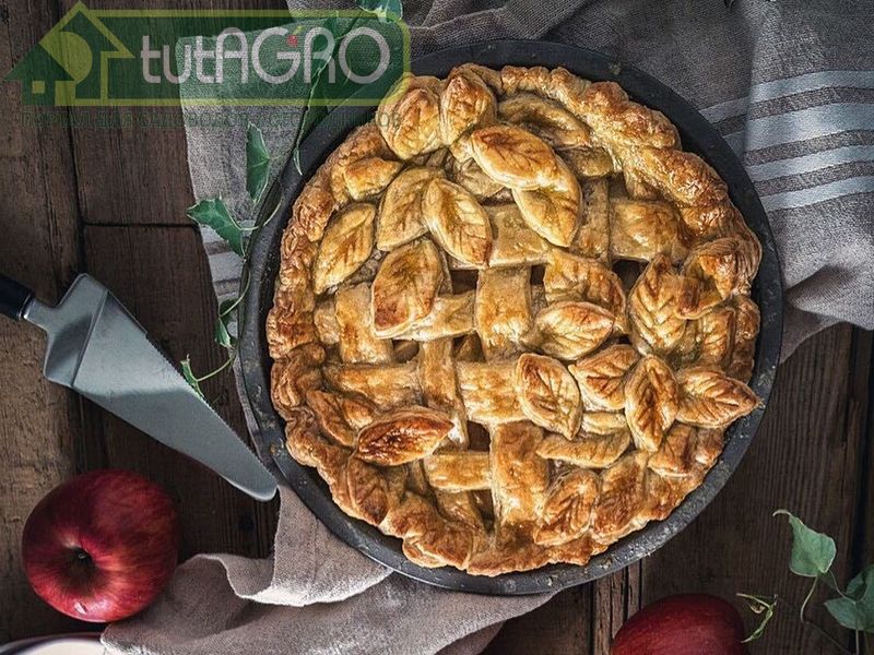 Яблочный пирог на сковородке - AGROzen