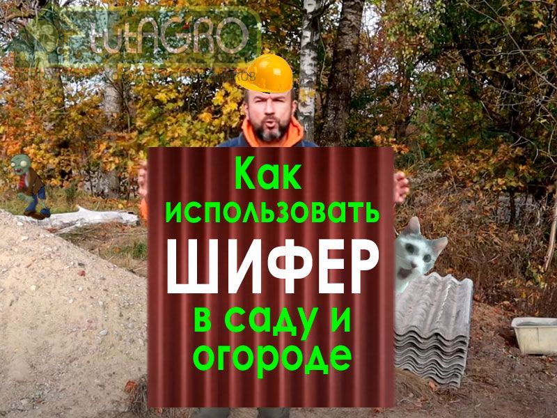 Остатки шифера - обычная история при ремонте крыши. Многие заменяют шифер на полимерные или металлические покрытия. А куда девать старый шифер? Он еще пригодится в саду и огороде. Как использовать шифер? Удобрение из старого шифера!