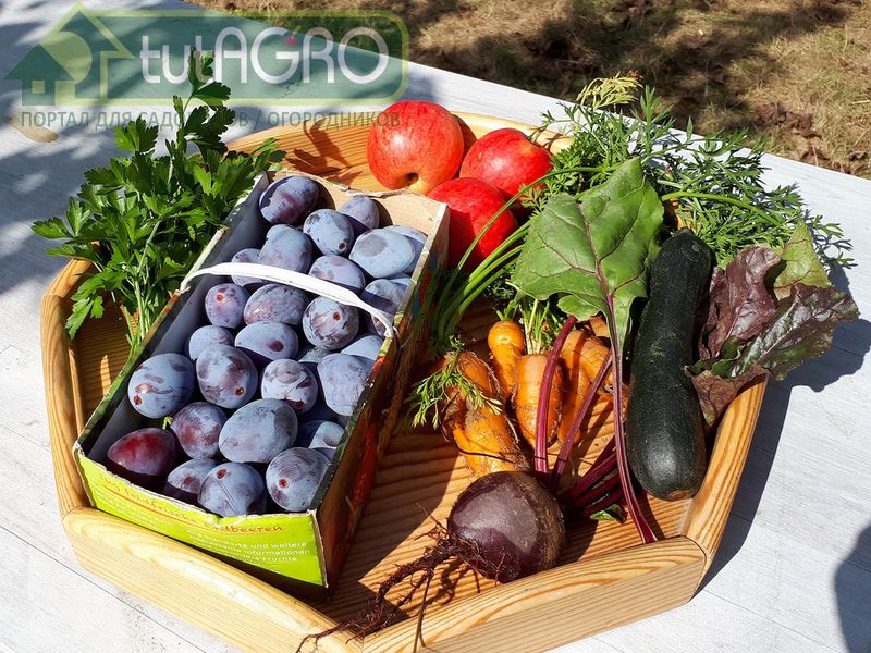 Внесение азота под зиму - AGROzen