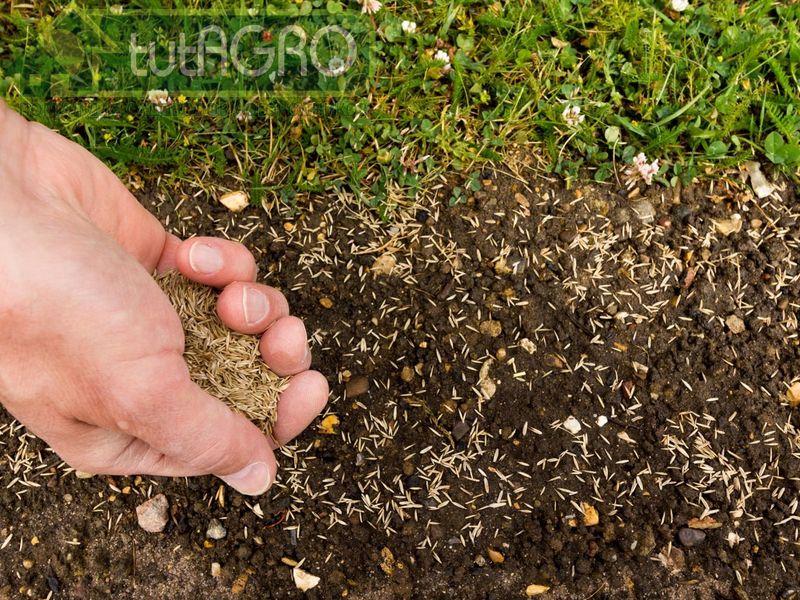 Грядку готовят заранее - AGROzen