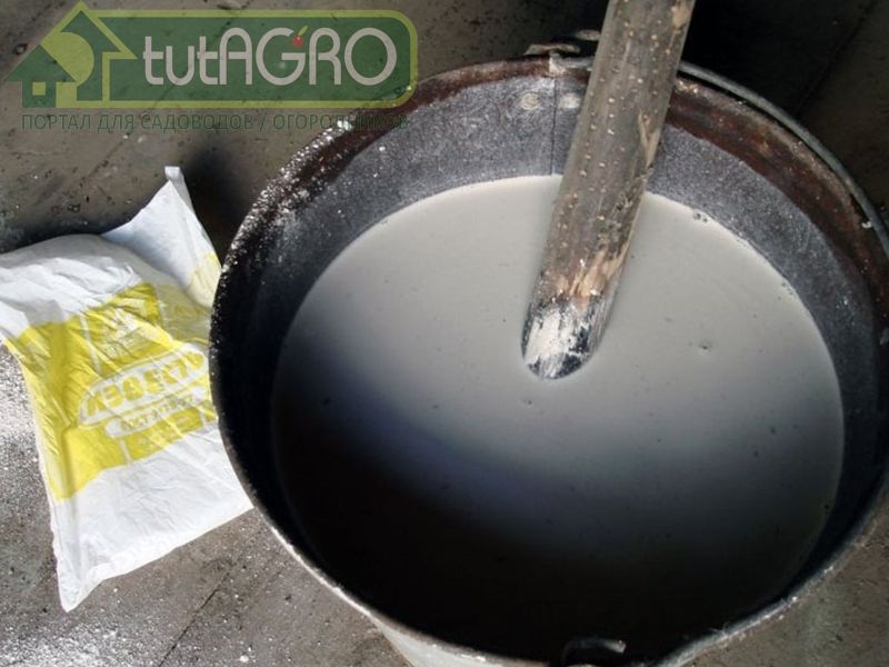 Белить деревья будет легче, если в раствор добавить хозяйственное мыло - AGROzen