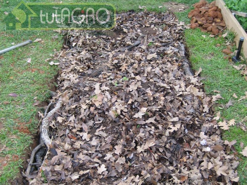 Грядки-холмики - AGROzen