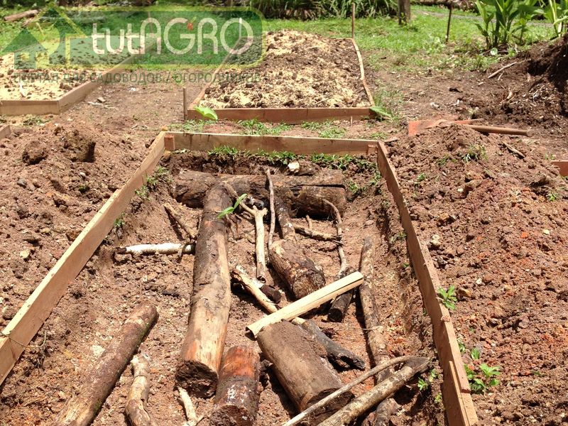 Грядку-холмик закладывают осенью, чтобы за зиму она устоялась - AGROzen