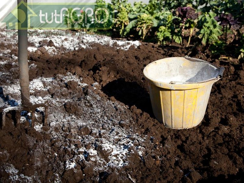 Известкование для повышения урожайности - AGROzen