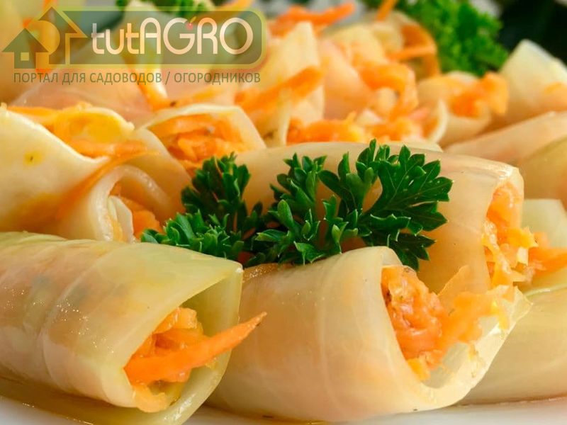 Голубцы по-корейски - AGROzen