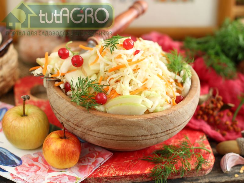 Квашеная капуста быстрого приготовления 2 - AGROzen