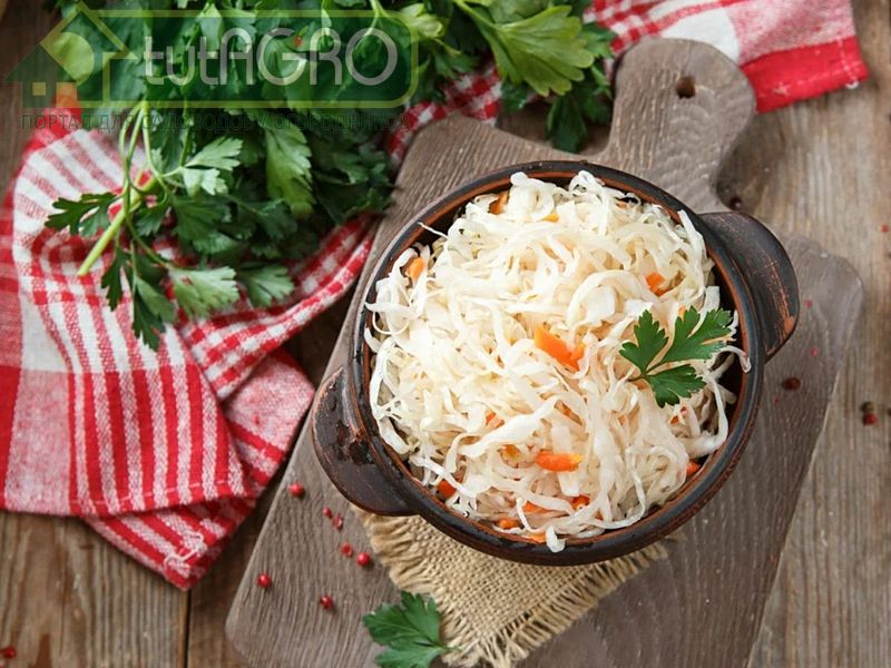 Квашеная капуста быстрого приготовления - AGROzen
