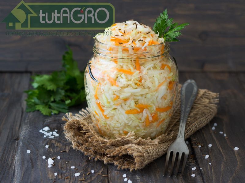 Рецепты с капустой. Кулинария  - AGROzen