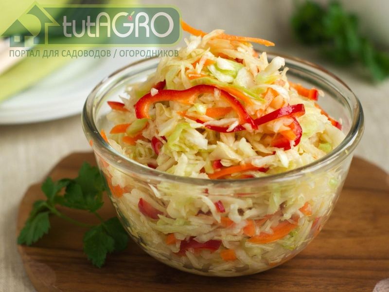 Салат капустный - AGROzen