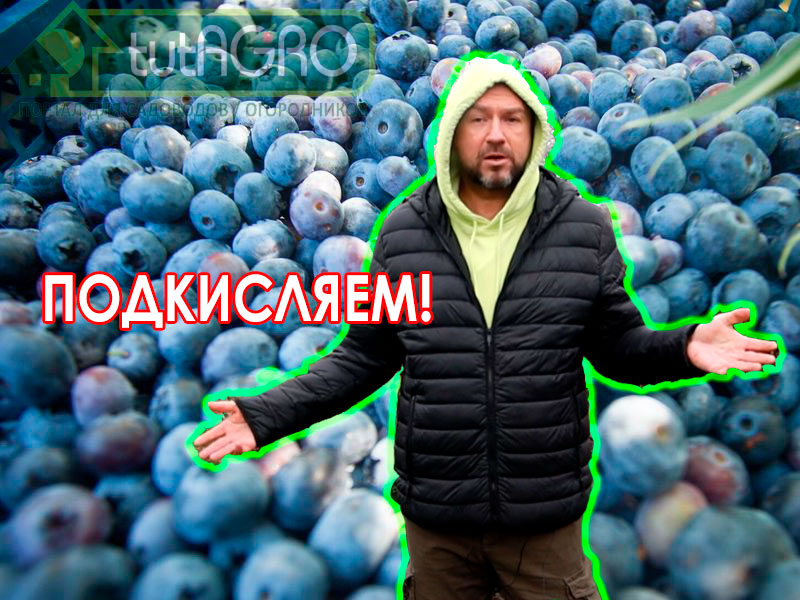 Природно щелочные (карбонатные, солончаки) и защелаченные солью, содой и удобрениями почвы теряют плодородие из-за неправильного ухода! Такие почвы нужно не раскислять, а... подкислять! 7 бюджетных способов улучшить плодородие почвы